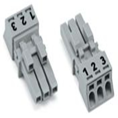 890-243 WAGO product image